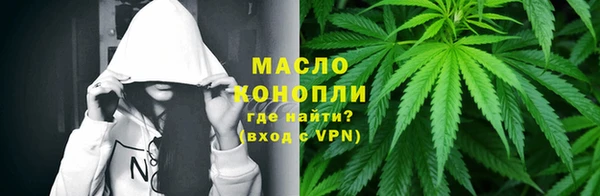 прущая мука Вяземский