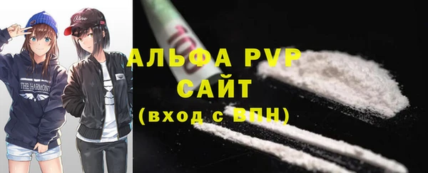 прущая мука Вяземский
