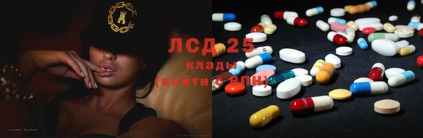 прущая мука Вяземский