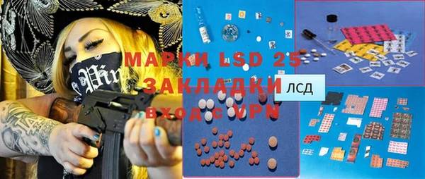 прущая мука Вяземский
