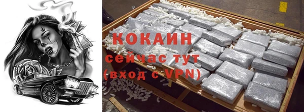 прущая мука Вяземский
