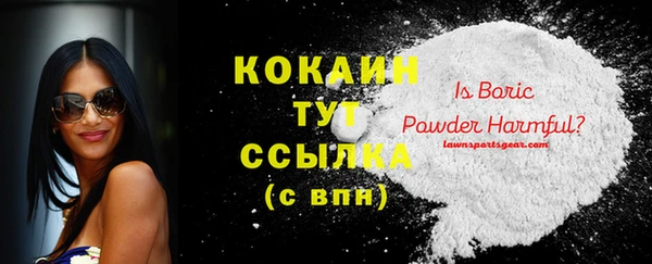 спиды Горняк