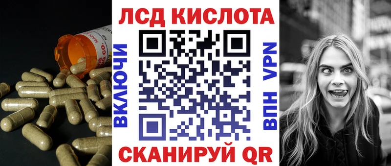 ссылка на мегу онион Злынка darknet официальный сайт LSD-25 экстази ecstasy