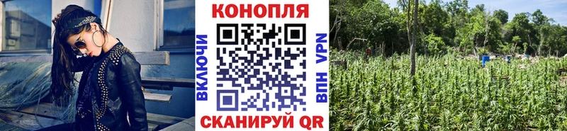 Марихуана LSD WEED  наркота  Злынка 
